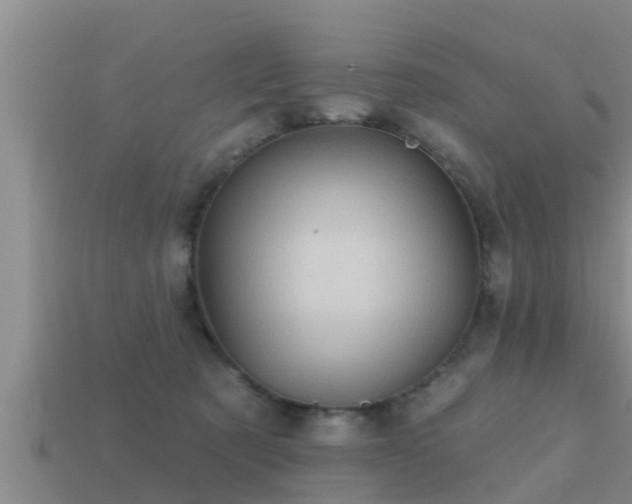 X0000113200321200909171519