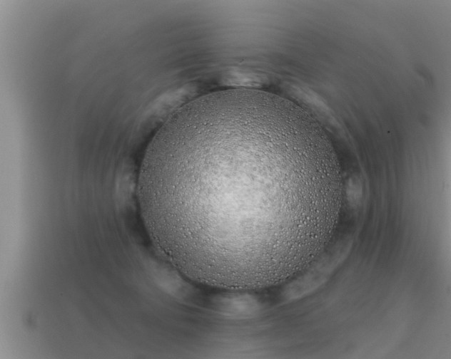 X0000113200322200909171519