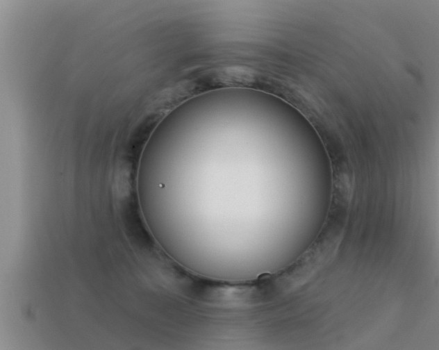 X0000113200323200909171519