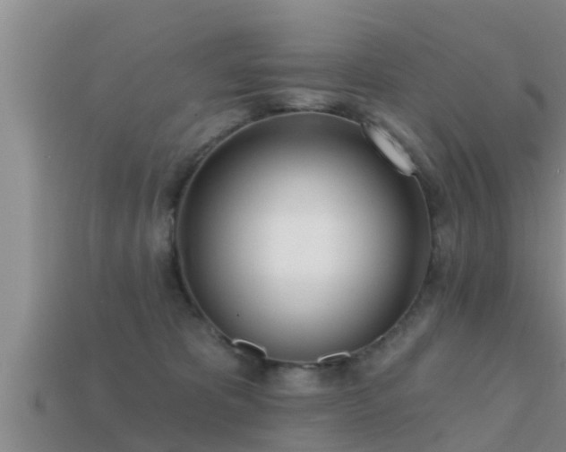 X0000113200325200909171519