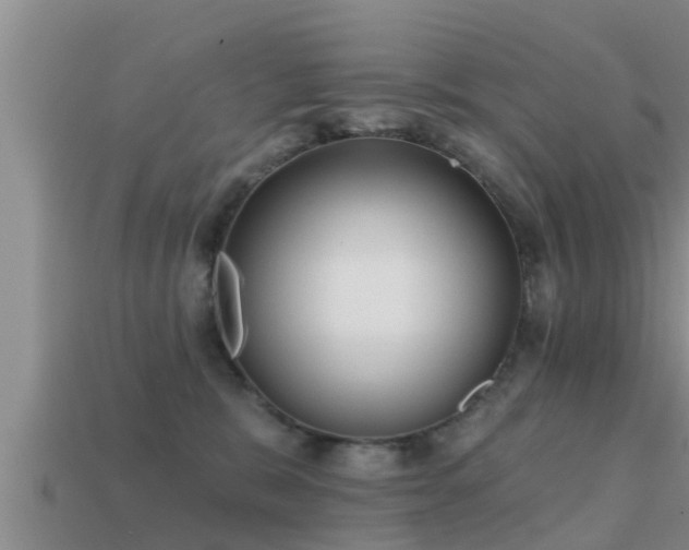 X0000113200327200909171519