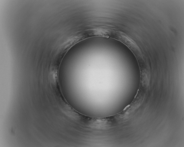 X0000113200329200909171519