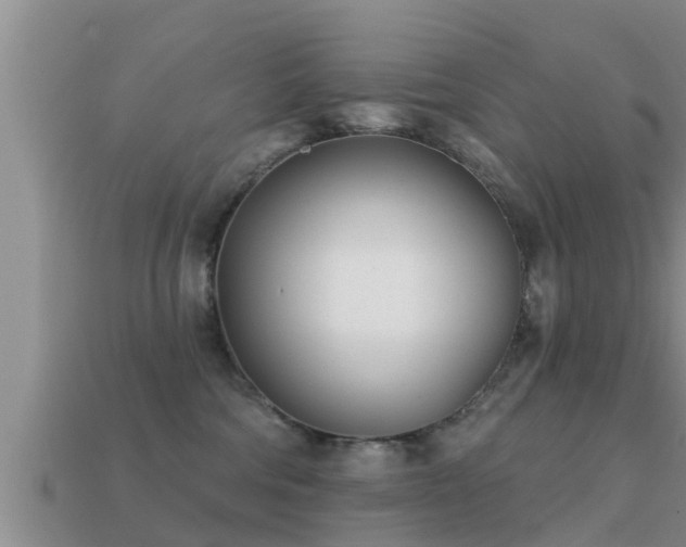 X0000113200330200909171519