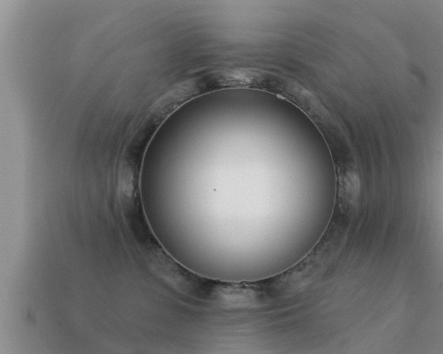 X0000113200331200909171519