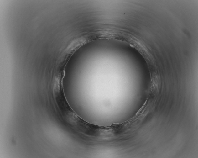 X0000113200333200909171519