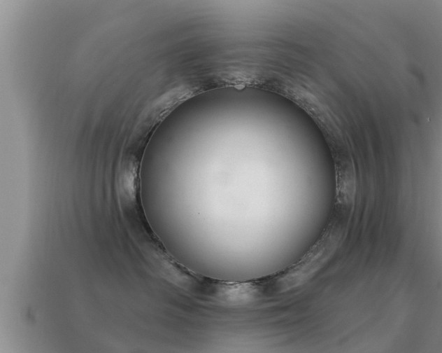 X0000113200334200909171519