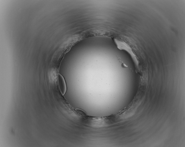 X0000113200335200909171519