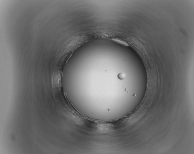 X0000113200336200909171519