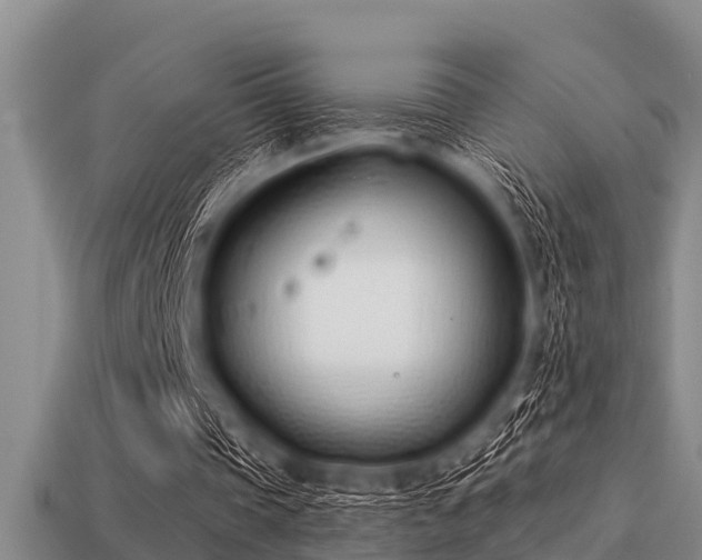 X0000113200337200909171518