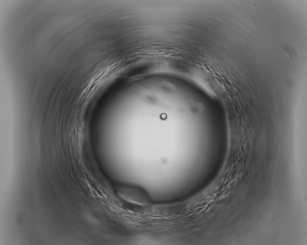 X0000113200338200909171518