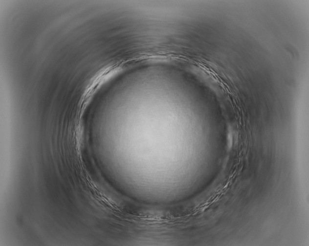 X0000113200339200909171518