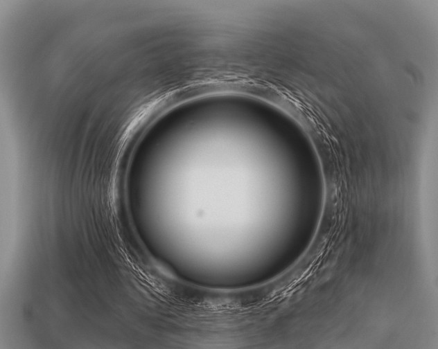 X0000113200340200909171518