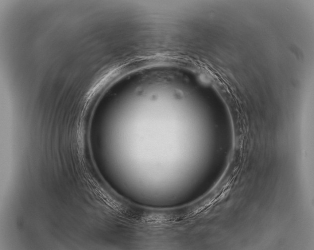 X0000113200341200909171518