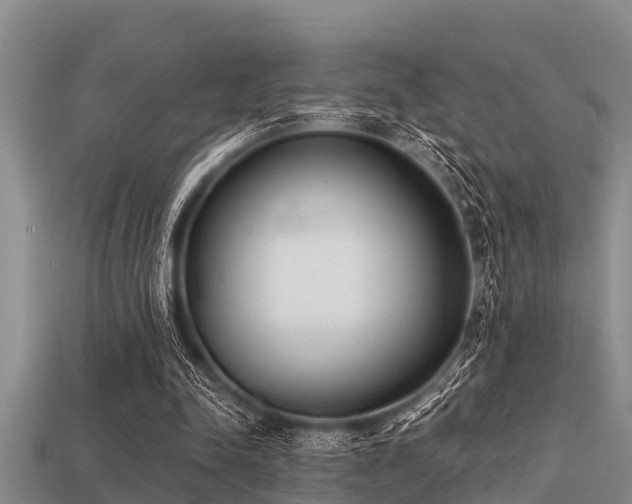 X0000113200342200909171518