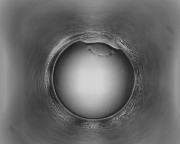 X0000113200343200909171518