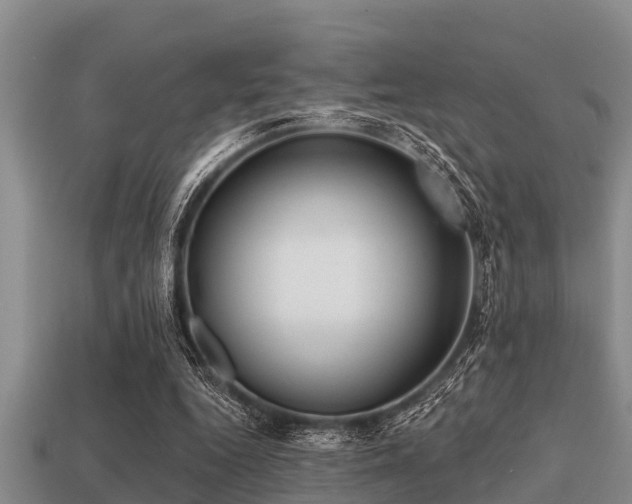 X0000113200344200909171518