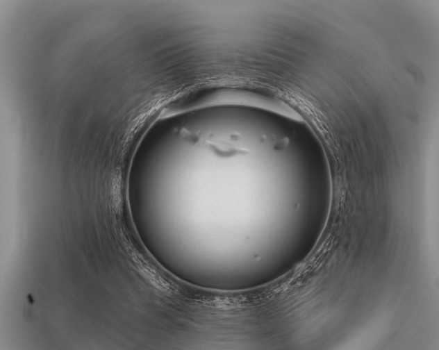 X0000113200345200909171518