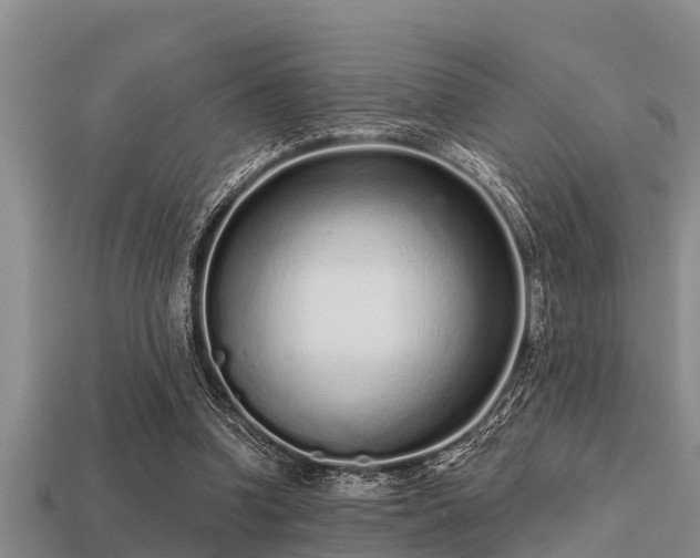 X0000113200346200909171518