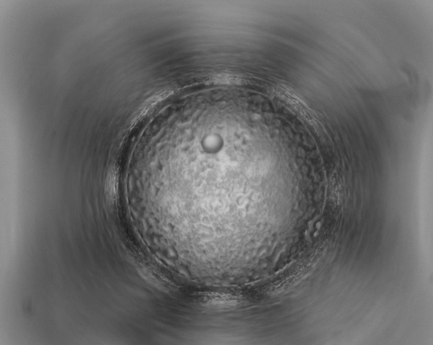 X0000113200347200909171518