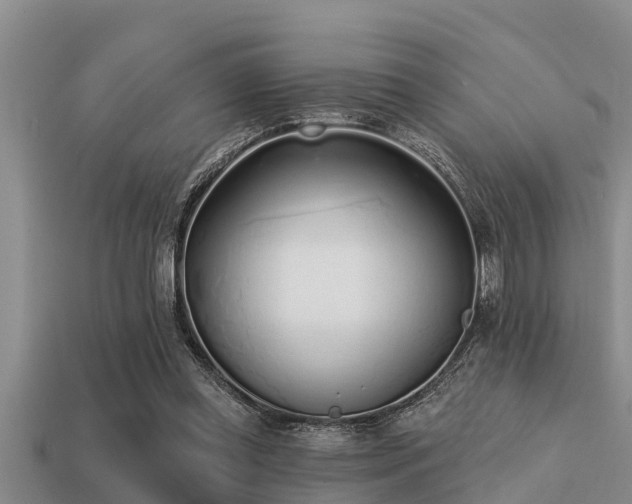 X0000113200349200909171518