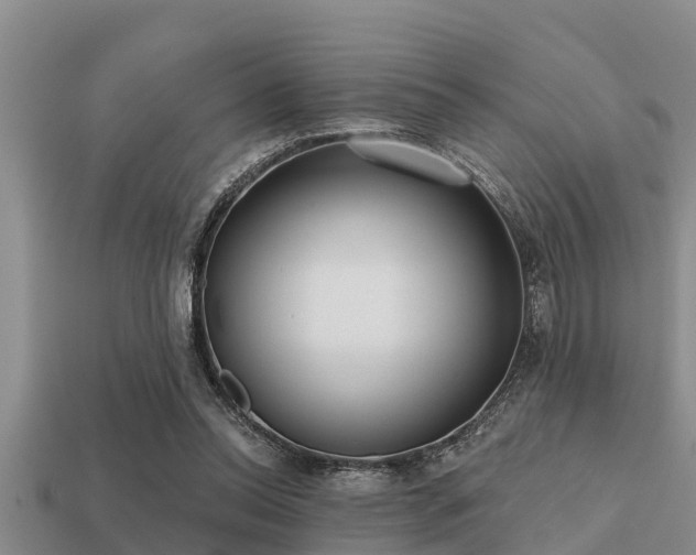 X0000113200350200909171518