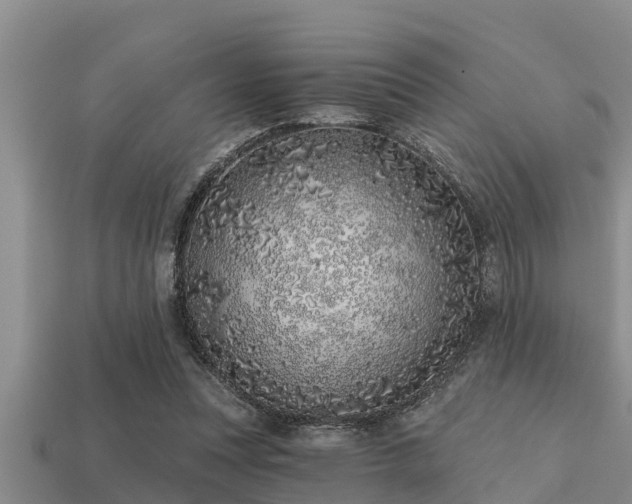 X0000113200351200909171518