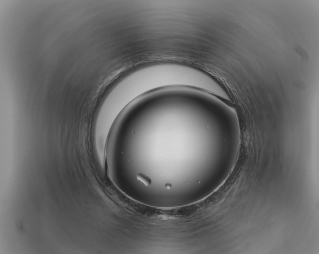 X0000113200352200909171518