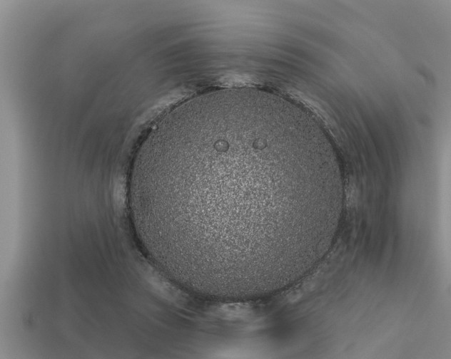 X0000113200353200909171518