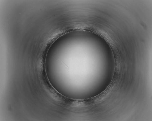 X0000113200354200909171518