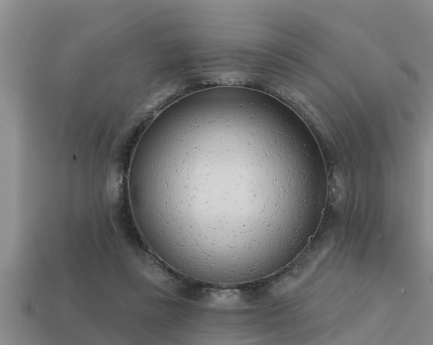 X0000113200355200909171518