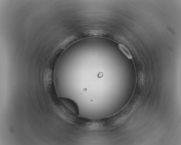 X0000113200356200909171518