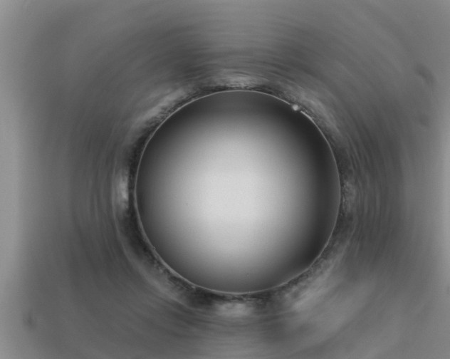 X0000113200358200909171518