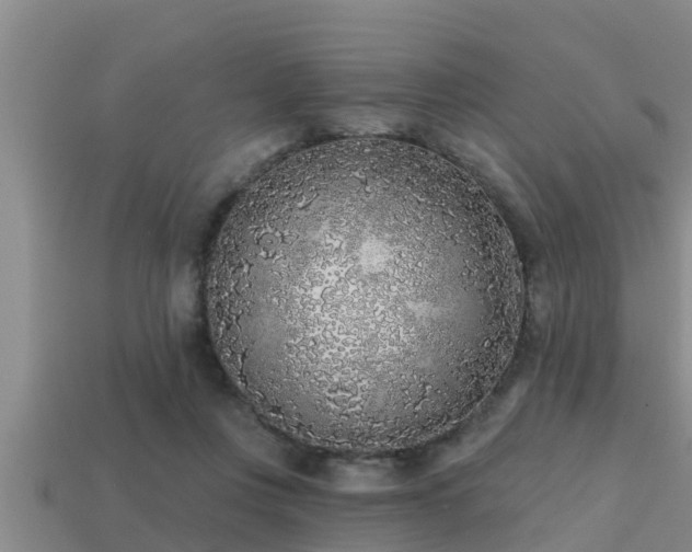 X0000113200359200909171518