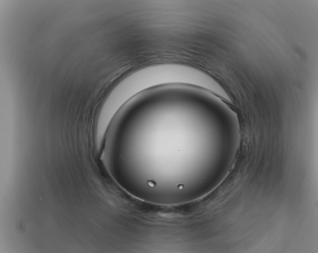 X0000113200360200909171518