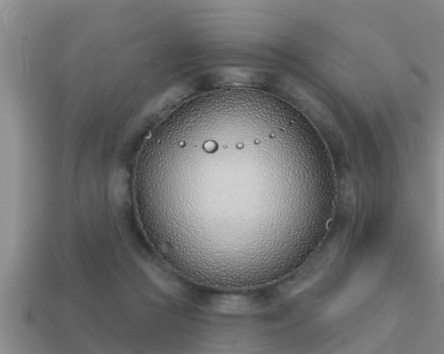 X0000113200361200909171518