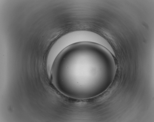 X0000113200362200909171518