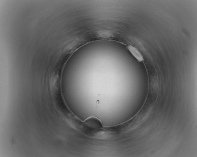 X0000113200364200909171518