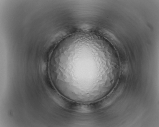 X0000113200365200909171518