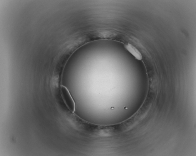 X0000113200368200909171518