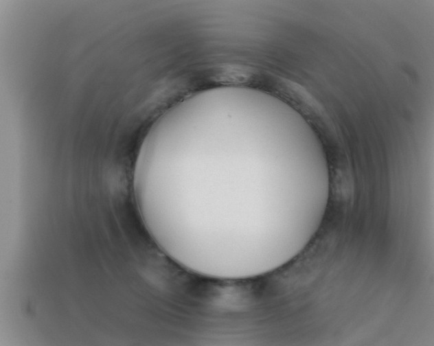 X0000113200370200909171518