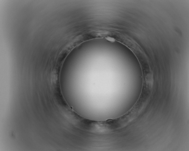 X0000113200372200909171518