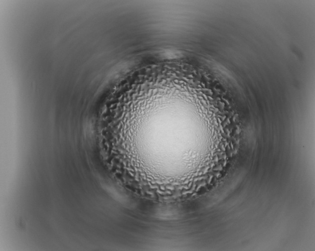 X0000113200373200909171518