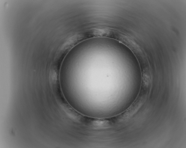 X0000113200375200909171518