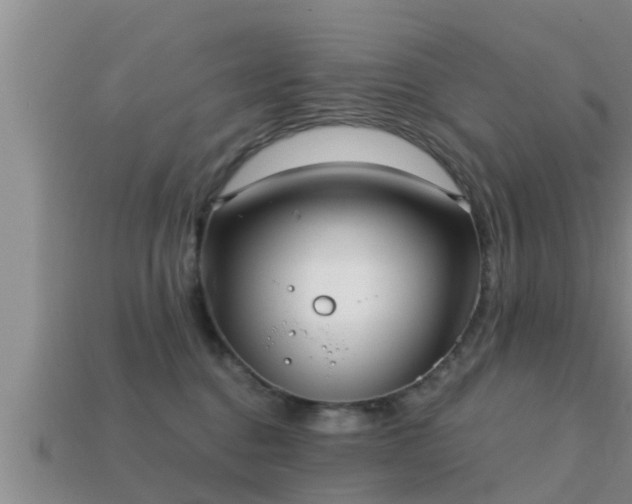 X0000113200376200909171518