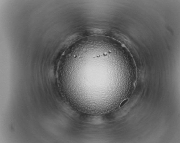 X0000113200377200909171518