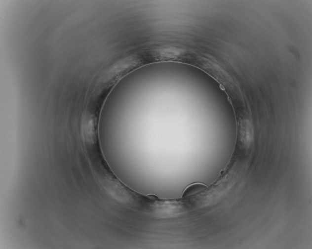 X0000113200378200909171519