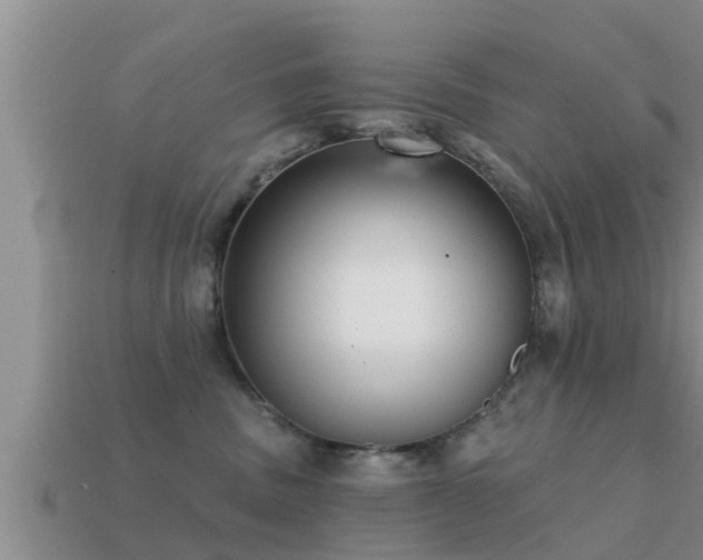 X0000113200379200909171519