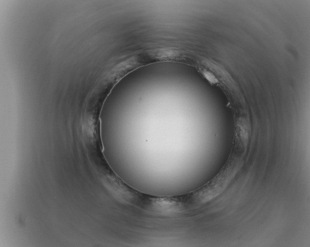 X0000113200380200909171519