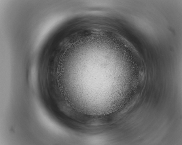 X0000113200381200909171519