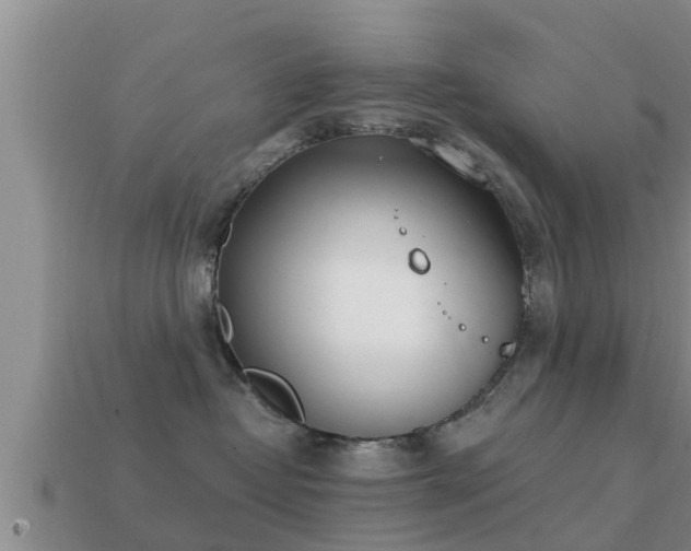 X0000113200382200909171519